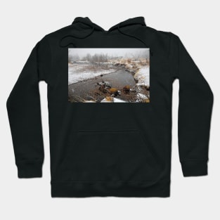 RMNP Winter Study 4 Hoodie